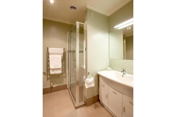 1-Bedroom Apartment: shower