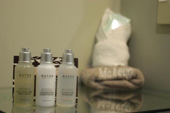 2-Bedroom Apartment: toiletries